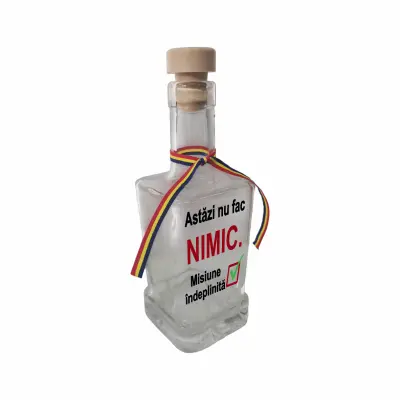 Astazi nu fac nimic, sticla cu mesaj patrata, 250 ml, model divgs318 29